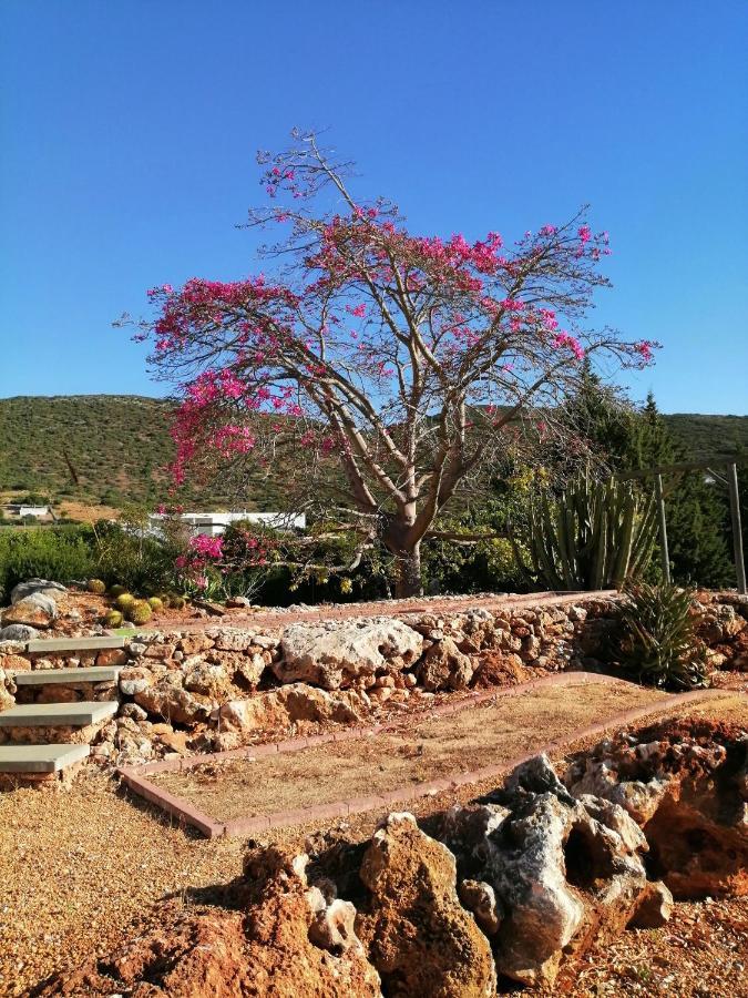 Casa vacanze Casa De Medronhal